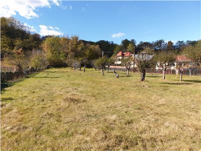Teren Intravilan de Vanzare, Valea Lunga