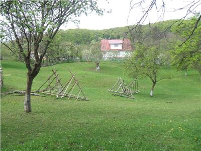 Teren intravilan de vanzare, Valea Doftanei