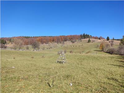 Teren Intravilan de vanzare, Valea Doftanei