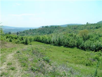 Teren Intravilan de vanzare, Poiana Campina