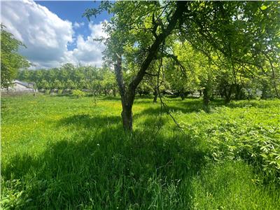 Teren intravilan de vanzare, Campina Prahova