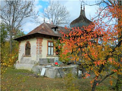 Casa de vanzare Provita