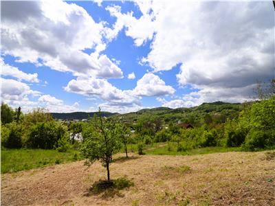 Teren Intravilan de vanzare, Cornu de Jos Prahova