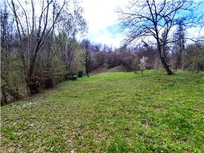 Teren Intravilan de vanzare, Provita de Sus Prahova