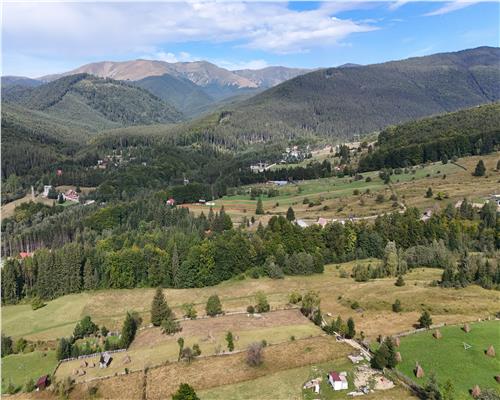 Teren intravilan de vanzare, Valea Doftanei Prahova