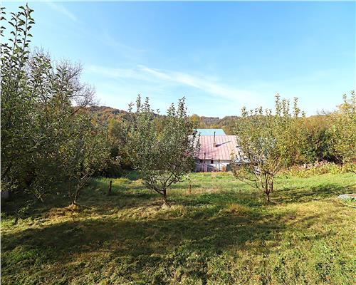 Teren Intravilan de vanzare, Provita de Jos
