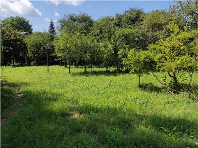 Teren Intravilan de Vanzare, Campina