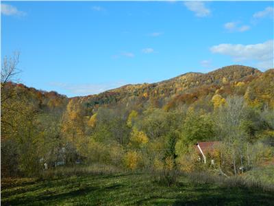 Teren Intravilan de Vanzare, Provita